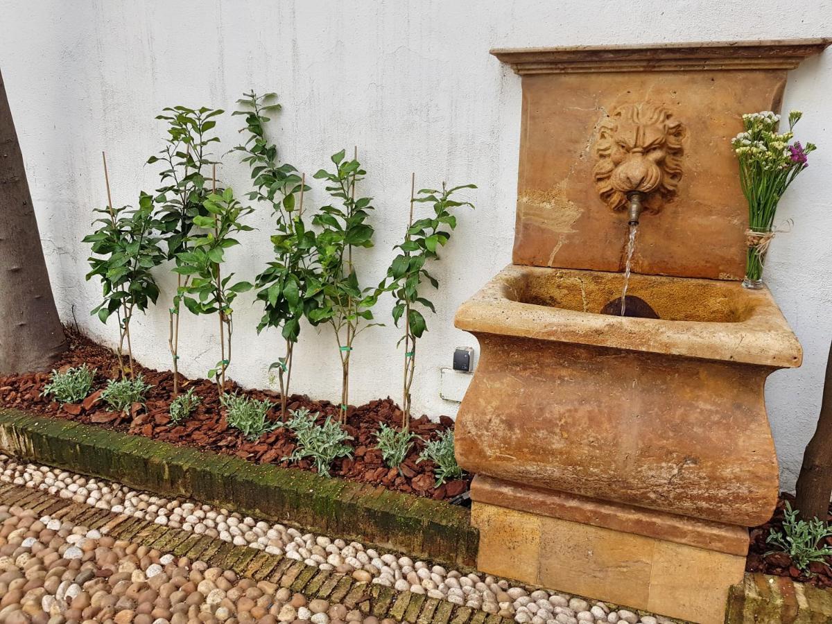 Riad Mezquita De קורדובה מראה חיצוני תמונה